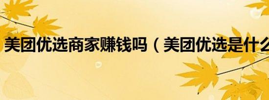 美团优选商家赚钱吗（美团优选是什么意思）