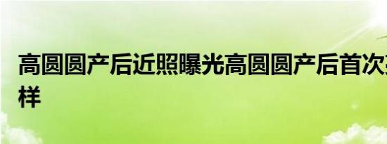 高圆圆产后近照曝光高圆圆产后首次亮相长啥样