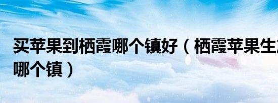 买苹果到栖霞哪个镇好（栖霞苹果生产主要在哪个镇）