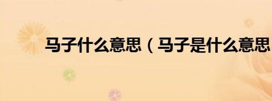 马子什么意思（马子是什么意思）