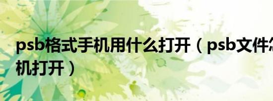 psb格式手机用什么打开（psb文件怎么用手机打开）