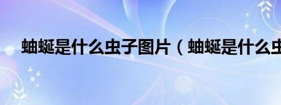 蚰蜒是什么虫子图片（蚰蜒是什么虫子）