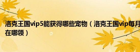 洛克王国vip5能获得哪些宠物（洛克王国vip每月100级宠物在哪领）
