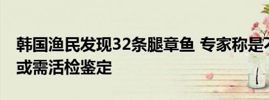 韩国渔民发现32条腿章鱼 专家称是不是章鱼或需活检鉴定