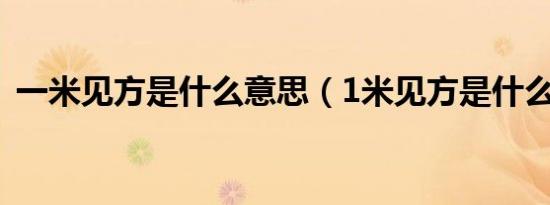 一米见方是什么意思（1米见方是什么意思）