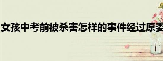 女孩中考前被杀害怎样的事件经过原委是什么