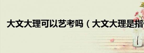 大文大理可以艺考吗（大文大理是指什么）
