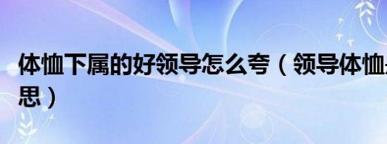 体恤下属的好领导怎么夸（领导体恤是什么意思）