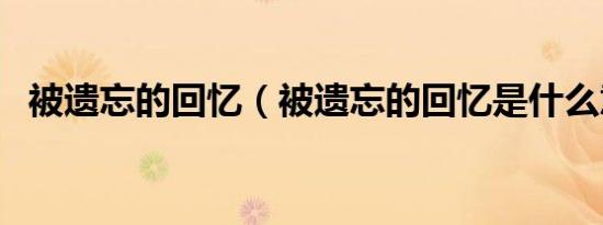 被遗忘的回忆（被遗忘的回忆是什么意思）