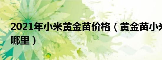 2021年小米黄金苗价格（黄金苗小米产地是哪里）