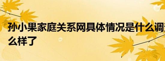 孙小果家庭关系网具体情况是什么调查进展怎么样了