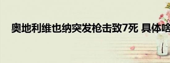 奥地利维也纳突发枪击致7死 具体啥情况