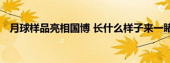月球样品亮相国博 长什么样子来一睹真容