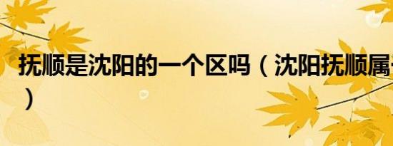 抚顺是沈阳的一个区吗（沈阳抚顺属于哪个区）