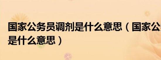 国家公务员调剂是什么意思（国家公务员调剂是什么意思）