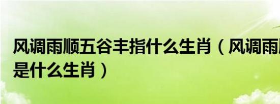 风调雨顺五谷丰指什么生肖（风调雨顺五谷丰是什么生肖）