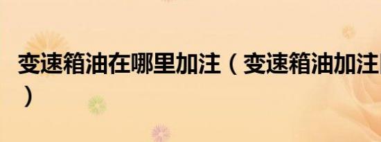 变速箱油在哪里加注（变速箱油加注口在哪里）