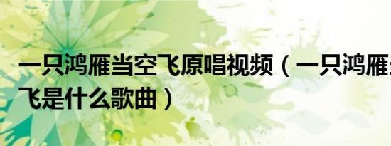 一只鸿雁当空飞原唱视频（一只鸿雁当空飞呀飞是什么歌曲）
