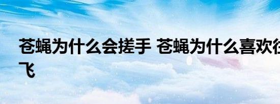 苍蝇为什么会搓手 苍蝇为什么喜欢往人身上飞