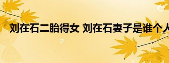 刘在石二胎得女 刘在石妻子是谁个人资料