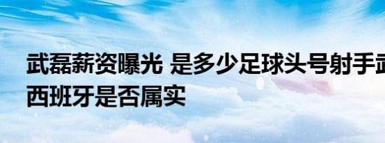 武磊薪资曝光 是多少足球头号射手武磊加盟西班牙是否属实