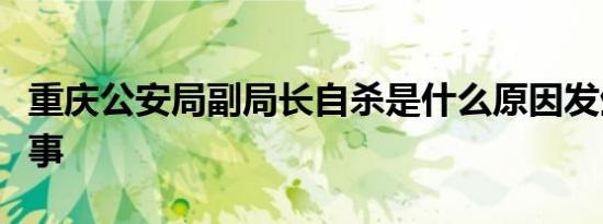 重庆公安局副局长自杀是什么原因发生了什么事