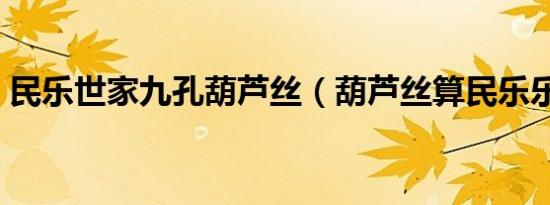民乐世家九孔葫芦丝（葫芦丝算民乐乐器吗）