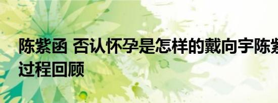 陈紫函 否认怀孕是怎样的戴向宇陈紫函相爱过程回顾