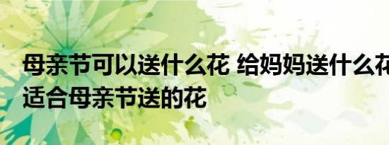 母亲节可以送什么花 给妈妈送什么花好2019适合母亲节送的花