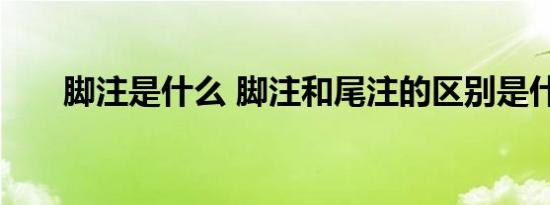 脚注是什么 脚注和尾注的区别是什么