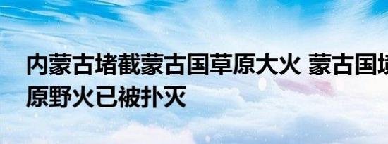 内蒙古堵截蒙古国草原大火 蒙古国境内的草原野火已被扑灭
