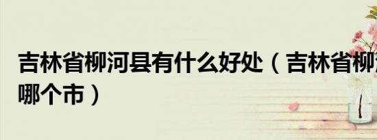吉林省柳河县有什么好处（吉林省柳河县属于哪个市）