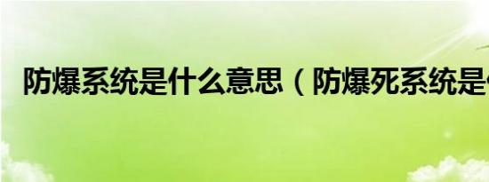 防爆系统是什么意思（防爆死系统是什么）