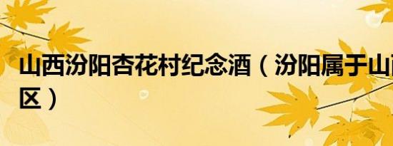 山西汾阳杏花村纪念酒（汾阳属于山西什么地区）