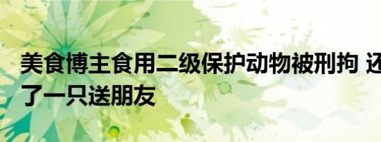 美食博主食用二级保护动物被刑拘 还“清蒸”了一只送朋友