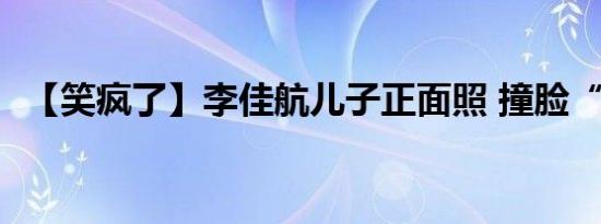 【笑疯了】李佳航儿子正面照 撞脸“二哈”