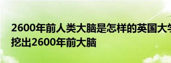 2600年前人类大脑是怎样的英国大学考古竟挖出2600年前大脑