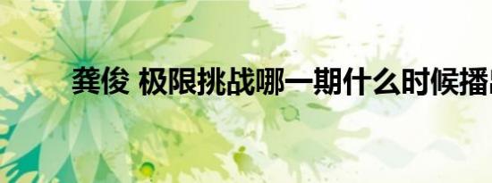 龚俊 极限挑战哪一期什么时候播出