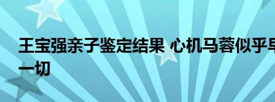 王宝强亲子鉴定结果 心机马蓉似乎早已算定一切