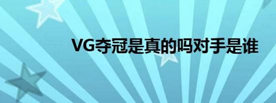 VG夺冠是真的吗对手是谁