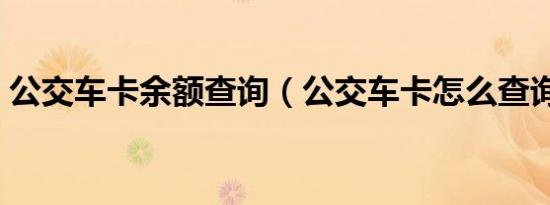 公交车卡余额查询（公交车卡怎么查询余额）