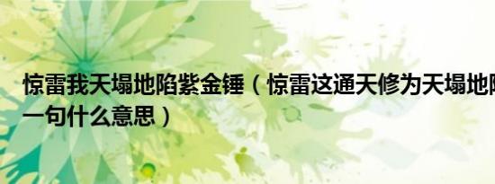 惊雷我天塌地陷紫金锤（惊雷这通天修为天塌地陷紫金锤下一句什么意思）