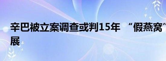 辛巴被立案调查或判15年 “假燕窝”后续进展