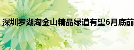 深圳罗湖淘金山精品绿道有望6月底前开放啦