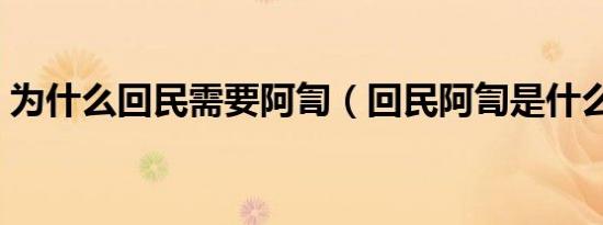 为什么回民需要阿訇（回民阿訇是什么意思）