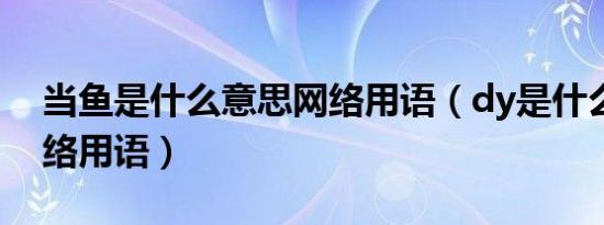 当鱼是什么意思网络用语（dy是什么意思网络用语）