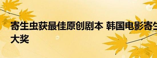 寄生虫获最佳原创剧本 韩国电影寄生虫再得大奖