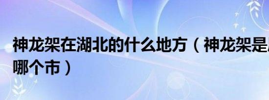 神龙架在湖北的什么地方（神龙架是属于湖北哪个市）