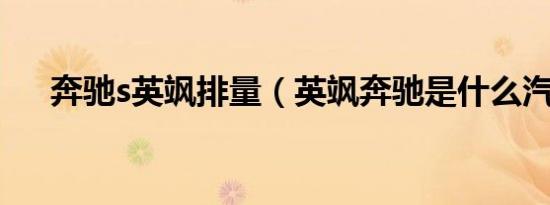 奔驰s英飒排量（英飒奔驰是什么汽车）