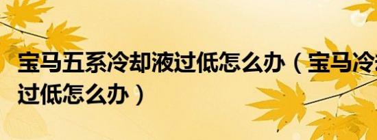 宝马五系冷却液过低怎么办（宝马冷却液液位过低怎么办）